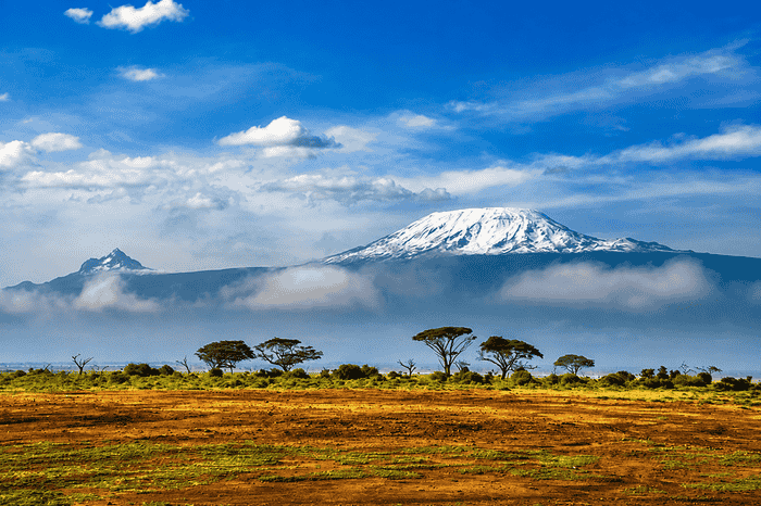 Tanzania safaris