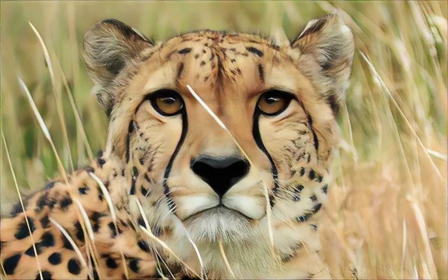 Tsavo West National Park