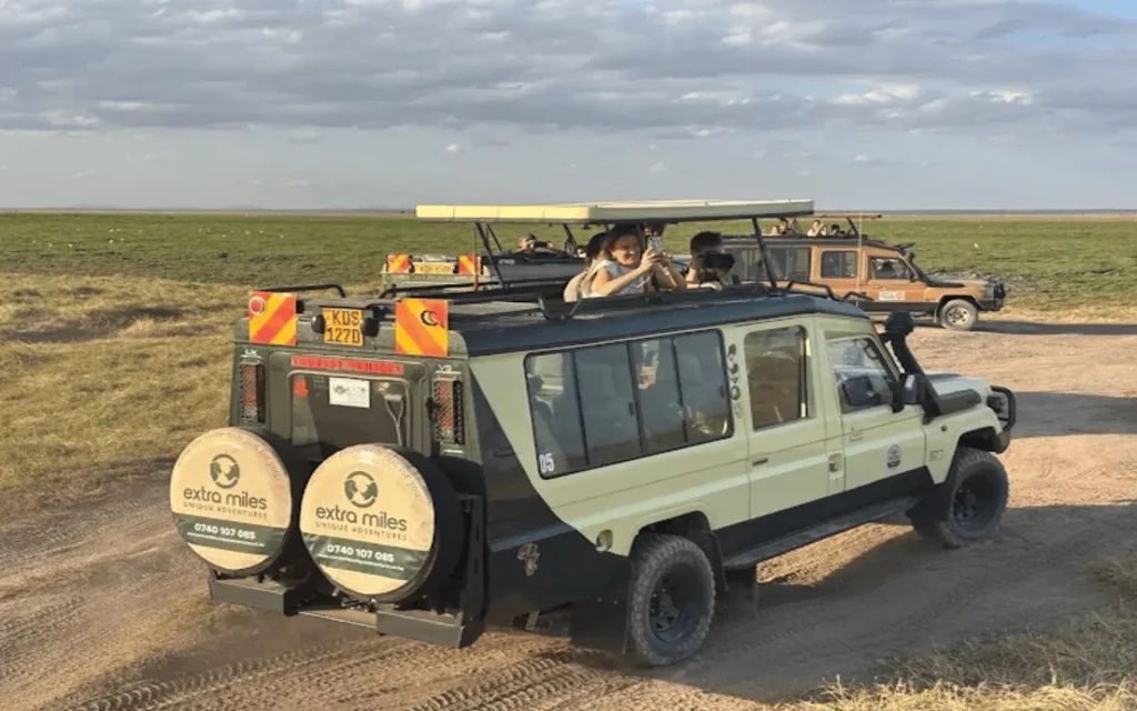 Group Safari